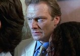 Сериал Комиссар Рекс / Kommissar Rex (1994) - cцена 3