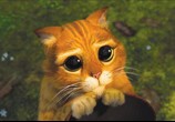 Мультфильм Шрэк 2 / Shrek 2 (2004) - cцена 5