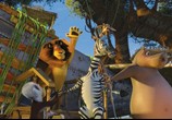 Мультфильм Мадагаскар 2 / Madagascar: Escape 2 Africa (2008) - cцена 7
