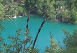 ТВ Жизнь: Вода – основа жизни / Life 3D: Water, the Element of Life (2013) - cцена 3