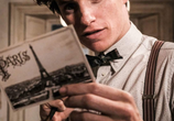 Фильм Фантастические твари: Преступления Грин-де-Вальда / Fantastic Beasts: The Crimes of Grindelwald (2018) - cцена 5