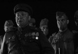 Фильм Раскрашенная птица / The Painted Bird (2019) - cцена 1