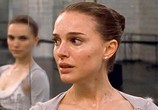 Фильм Черный Лебедь / Black Swan (2011) - cцена 4