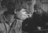 Фильм Жаворонок (1964) - cцена 1