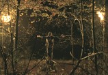 Фильм Таинственный лес / The Village (2004) - cцена 1
