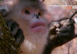 Сцена из фильма Тайны реки Меконг / Mysteries of the Mekong (2017) Тайны реки Меконг сцена 1