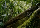 ТВ Неизвестная планета Земля / One Strange Rock (2018) - cцена 2