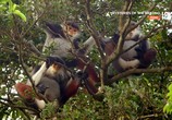 Фильм Тайны реки Меконг / Mysteries of the Mekong (2017) - cцена 1