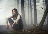 Фильм Антихрист / Antichrist (2009) - cцена 6
