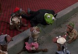 Фильм Маппеты на Манхэттене / The Muppets Take Manhattan (1984) - cцена 6
