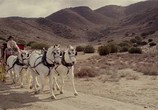 Фильм Западная религия / Western Religion (2015) - cцена 6