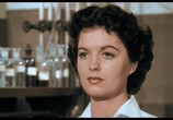 Фильм Это прибыло со дна моря / It Came from Beneath the Sea (1955) - cцена 3