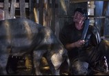 Фильм Рэмбо IV / Rambo IV (2008) - cцена 6