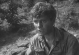 Фильм Жаворонок (1964) - cцена 3