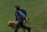 Фильм Король воздуха / Air Bud (1997) - cцена 2