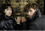 Фильм Фантастические твари: Преступления Грин-де-Вальда / Fantastic Beasts: The Crimes of Grindelwald (2018) - cцена 3