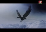 Сцена из фильма Книга легенд. Таинственный лес (2012) Книга легенд. Таинственный лес сцена 18