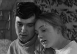 Фильм Корпус генерала Шубникова (1981) - cцена 1