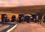 Сцена из фильма Скандинавский форсаж / Børning (2014) Педаль до упора сцена 12