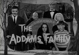 Сериал Семейка Аддамс / The Addams Family (1964) - cцена 1