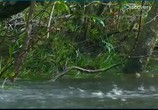 ТВ Эд Стаффорд: Голое выживание / Ed Stafford: Naked and Marooned (2014) - cцена 1
