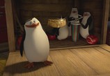 Мультфильм Мадагаскар 3 / Madagascar 3: Europe's Most Wanted (2012) - cцена 7