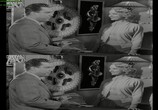 Фильм Мужчина в темноте / Man in the Dark (1953) - cцена 9