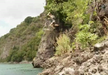 ТВ Американский Тарзан / American Tarzan (2016) - cцена 2