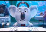 ТВ Зверопой: Дополнительные материалы / Sing: Bonuces (2016) - cцена 3