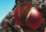 Фильм Муха / Eega (2012) - cцена 8